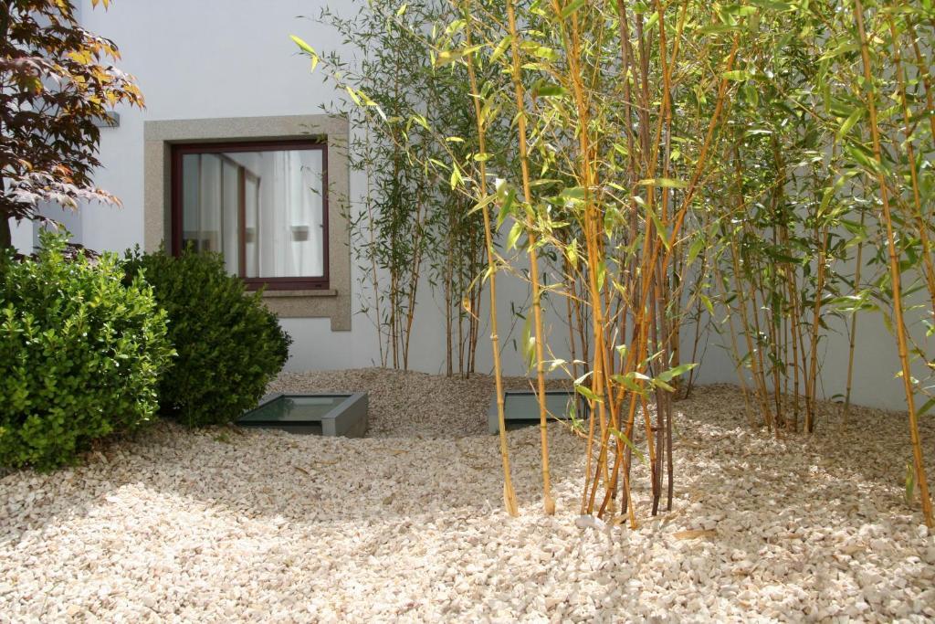 Santo Thyrso Hotel Santo Tirso Dış mekan fotoğraf